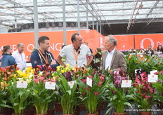 De Calla's stonden goed in de aandacht.